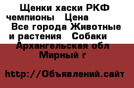 Щенки хаски РКФ чемпионы › Цена ­ 90 000 - Все города Животные и растения » Собаки   . Архангельская обл.,Мирный г.